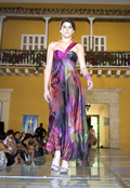 Desfile 2010