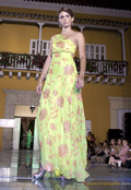 Desfile 2010