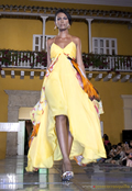 Desfile 2010