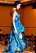 Desfile 2011